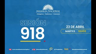 Siga en vivo la Sesión 918 del Pleno de la Asamblea Nacional del Ecuador [upl. by Eyahs]