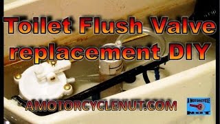 Toilet Flush Valve replacement DIY [upl. by Lladnik788]