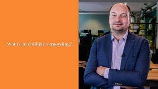 Wat is een billijke vergoeding [upl. by Rosie]