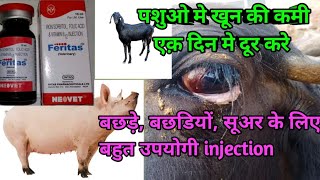 Injection Feritas uses Iron inj use in animals पशुओ मे कमजोरी को एक़ इंज से करे दूर [upl. by Eob680]