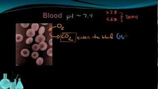 Chemistry 127 Buffers [upl. by Yrod]