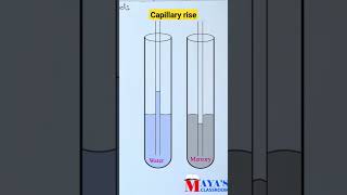 Capillary riseplusinephysicsshorts capillarity [upl. by Chucho]