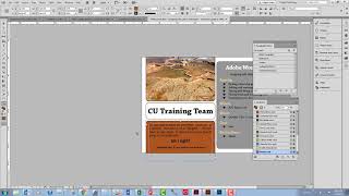 InDesign How to Sample Color with the Eyedropper Tool and then make a Tint Swatch [upl. by Tadd283]