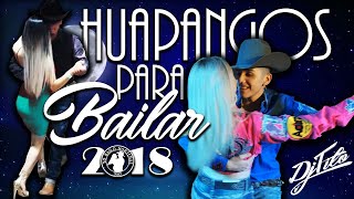 Los Mejores HUAPANGOS Para Bailar 2018 DjTito [upl. by Heti]