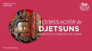 ES • Práctica Concisa de Tara Roja – Acumulación de Djetsuns [upl. by Manny]