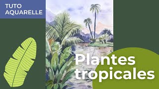 Aquarelle de plantes tropicales [upl. by Salakcin]