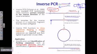 Inverse PCR [upl. by Ynhoj178]