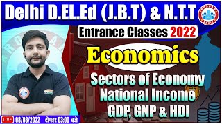 Sector of Economy  National Income  Delhi DElEd Entrance Exam 2022  Economics for DElEd Exam [upl. by Neelrihs]