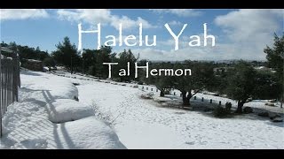 Halelu Yah by Tal Hermon Una adoración espontánea  An spontaneous adoration [upl. by Emma860]