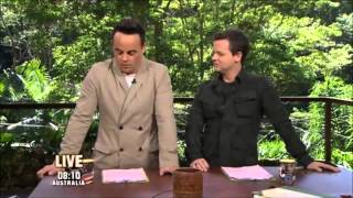 Ant talks about his own dishwasher back home on Im A Celebrity 2013 [upl. by Ardnasirhc]