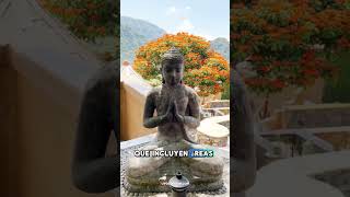 💮Tepoztlán de lujo💮 travel vacation meditation tepoztlan parati fy [upl. by Lednar]