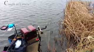 Winter fishing for Bream on the method feeder at calf heath reservoir [upl. by Ellesig]