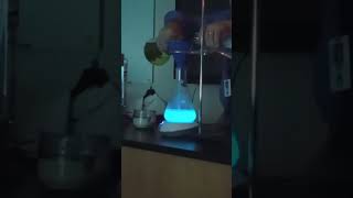 Luminol Chemical Reaction shorts chemistry [upl. by Sorrows965]