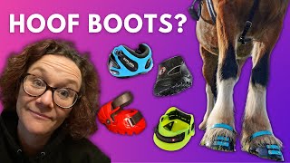 HOOF BOOTS  are they just a gimmick or changing the equine world [upl. by Carol-Jean]