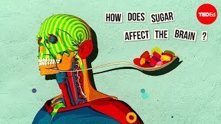 How sugar affects the brain  Nicole Avena [upl. by Gino]