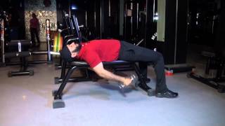 BICEPS  Lying Hammer Curls [upl. by Pittel]