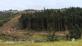 Watch a forest being harvested in this NFP timelapse video [upl. by Rheta]