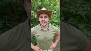 🌿🤠🌳 better soil pozzolan sand compost mix tips advice plants tree garden nature [upl. by Emilie]