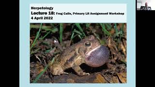 Herpetology Lecture 4 Apr 2022 [upl. by Brower748]