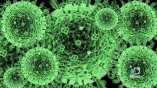 The H1N1 Swine Flu A Look Inside [upl. by Yks]