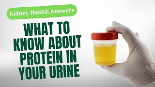 Protein in Urine What It Means for Your Kidney Health [upl. by Aubrie701]