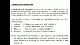 Extraembryonic membranes of chick [upl. by Ahsinyar442]