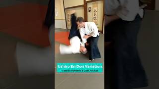 Aikido Ushiro Eri Dori Variation with Vassilis Nykteris 6 Dan Aikikai [upl. by Ecital]