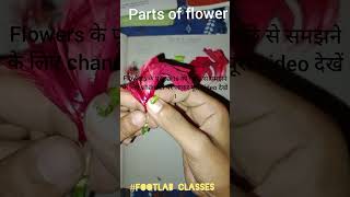 parts of flower calyx corollaandroecium gynoecium  Footlab classes Rohit [upl. by Latisha]