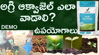 Agri Aquagel Uses  How to Use Agri Aquagel  అగ్రి ఆక్వా జెల్ ఉపయోగాలు  ఎలా వాడాలి [upl. by Kendrah]