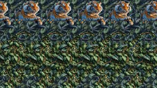 Animal Attraction 🐱  3D Stereogram Illusions [upl. by Garbe]