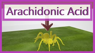 Arachidonic Acid Pathway Mnemonic [upl. by Connolly]