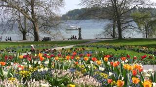 Insel Mainau [upl. by Ching]