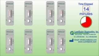 Dengue Antibody IgG  IgM Test [upl. by Naej]