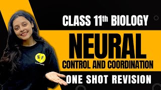 Neural Control and Coordination Biology  Class 11th Biology One Shot Revision By Sonam Maam [upl. by Tattan]