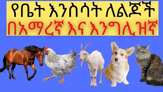 Ye Ethiopia Lijoch የቤት እንስሳት በአማረኛ እና በእንግሊዝኛ ለልጆች Home Animals in Amharic and English የኢትዮጵያ ልጆች [upl. by Oidgime]