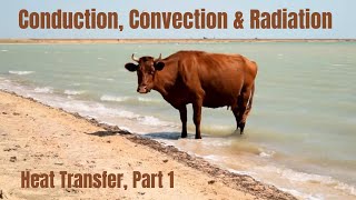 Intro to Conduction Convection amp Radiation Heat Transfer Part 1 For Middle School students [upl. by Currey319]