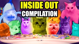 CAT MEMES CATs IN INSIDE OUT COMPILATION [upl. by Bjork585]