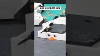 Check out these crazy Mother Duckers [upl. by Bobby808]