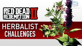 Red Dead Redemption 2  Herbalist Challenge Guide [upl. by Emanuele496]