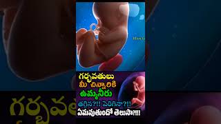 Importance of Amniotic Fluid 1 pregnant youtubeshorts shorts baby [upl. by Shorter]