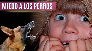 Miedo a los perros ✔️Psicología [upl. by Ttenaj]