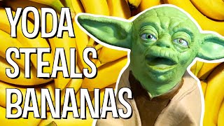 YODA STEALS BANANAS  The Puppet Yoda Show [upl. by Karolina70]