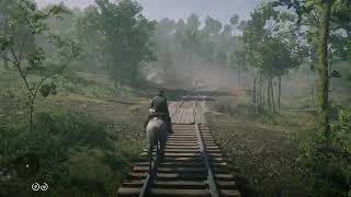 Red Dead Redemption 2 Ambience Searching for Moccasin Orchids Around Butcher Creek [upl. by Eniarrol63]