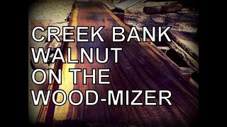 SAWING AMAZING CREEK BANK WALNUT ON THE WOODMIZER [upl. by Anikas194]