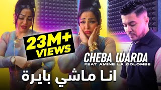 Cheba Warda ft Amine La Colombe  Ana Machi Bayra 2023 شابة وردة وامين الكولومب  انا ماشي بايرة [upl. by Ydorb]