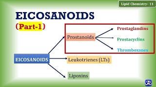 11 Eicosanoids Part 1 Prostanoids Prostaglandin Prostacyclin Thromboxane  Lipid Chemistry11 [upl. by Avilo]