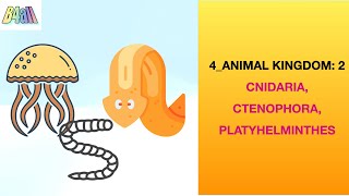 Ch 42 ANIMAL KINGDOM CNIDARIA CTENOPHORA amp PLATYHELMINTHESNCERT BASED ASSESSMENTCBSEISC 11 [upl. by Anirtep355]