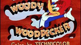 Woody Woodpecker Instrumental Theme [upl. by Atiekram]