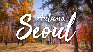 เที่ยวเกาหลีฤดูใบไม้เปลี่ยนสี 2018 AUTUMN IN SEOUL [upl. by Ricarda]