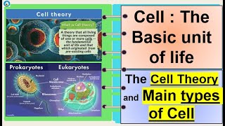 Science 7 Cell Theory and kinds of cells [upl. by Adnicul695]